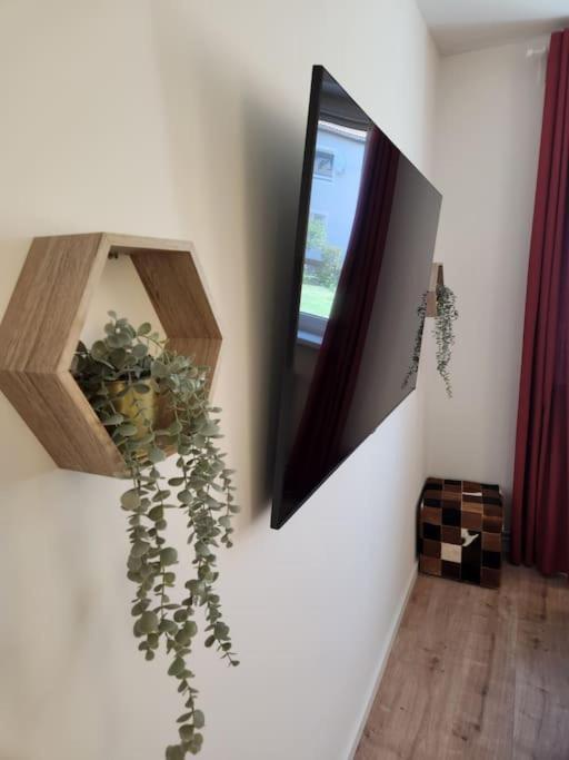 Baltic Garden Suite Dziwnów Екстериор снимка